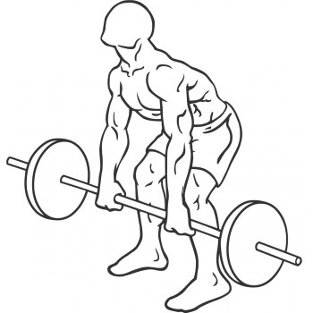 Barbell Rear Delt Row - Step 1