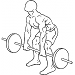 Barbell Rear Delt Row - Step 1
