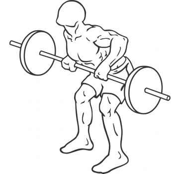 Barbell Rear Delt Row - Step 2