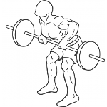 Barbell Rear Delt Row - Step 2