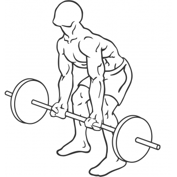 Reverse Grip Bent-Over Rows - Step 1