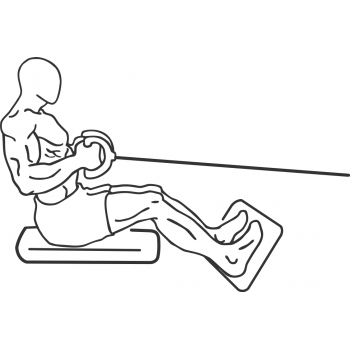 Seated Cable Rows - Step 1