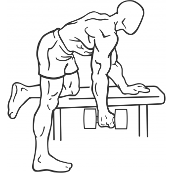 Rear Deltoid Row - Step 2