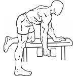 Rear Deltoid Row - Step 2