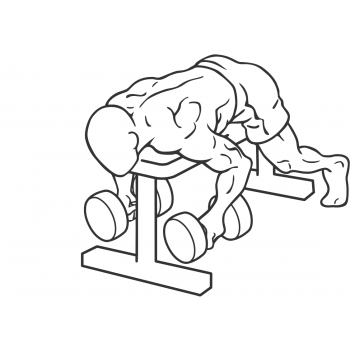 Dumbbell Lying Rear Lateral Raise - Step 2