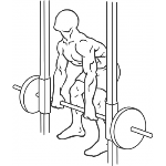 Smith Machine Rear Deltoid Row - Step 1