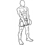 Standing Dumbbell Upright Row - Step 2