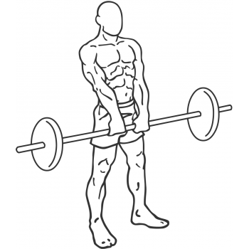 Upright Barbell Row - Step 2