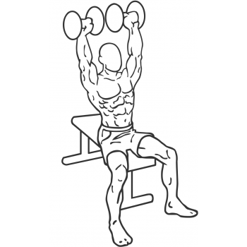 Dumbbell Shoulder Press - Step 1