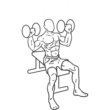 Dumbbell Shoulder Press - Step 2