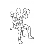 Arnold Dumbbell Press - Step 2