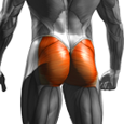 Glutes Exercises