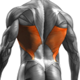 Lats Exercises